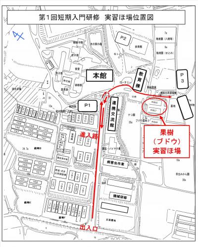 第1回短期入門研修　実習ほ場位置図