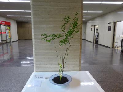 令和8年6月1日