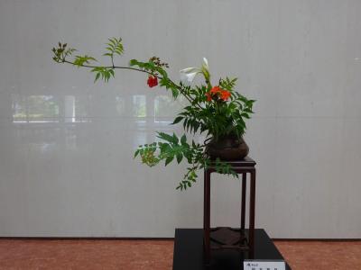 令和8年6月15日