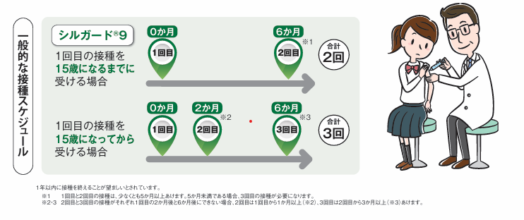 Hpvワクチン接種スケジュール（厚生労働省より）