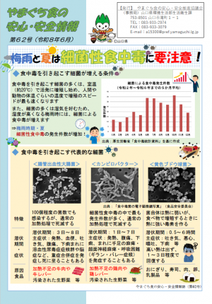 情報誌62号
