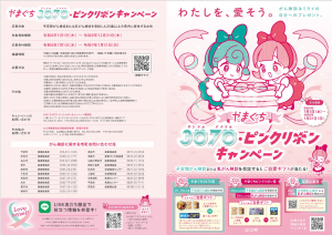 やまぐち3070・ピンクリボンキャンペーンリーフレット(表面)