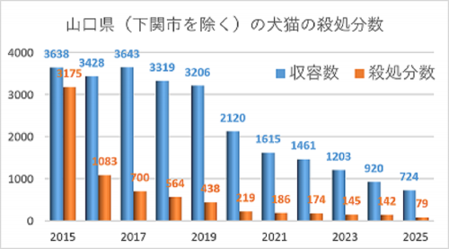 殺処分数の推移