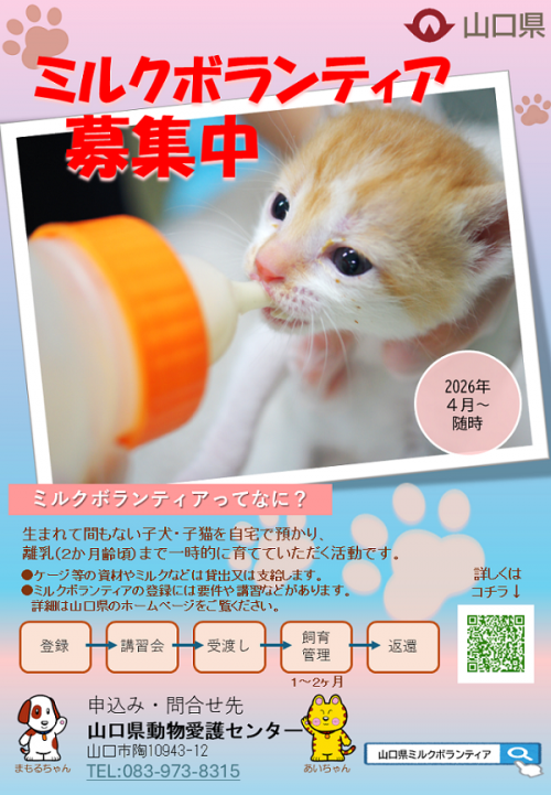 ミルボラ募集チラシ