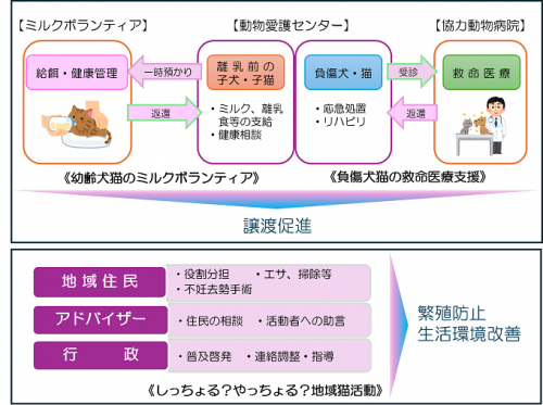 事業概要
