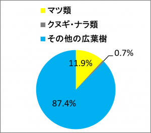 天然林