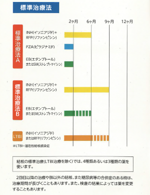 結核の標準治療期間について