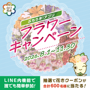 キャンペーン