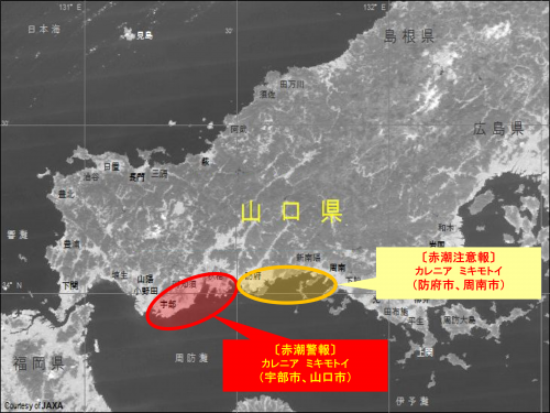 令和8年8月5日時点