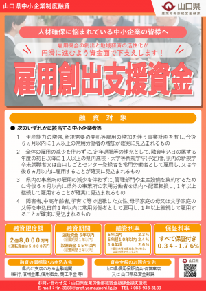 フライヤー
