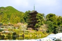 瑠璃光寺五重塔（山口市）