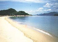 浦庄の浜の画像