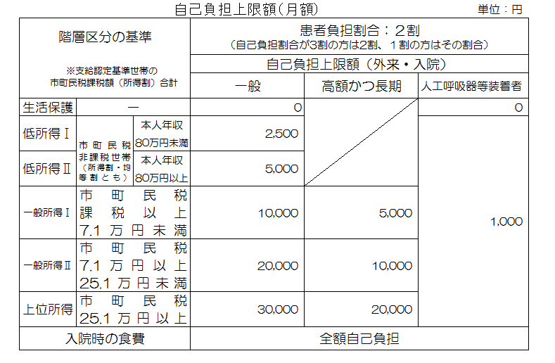 自己負担上限額