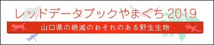 RDBやまぐち2019