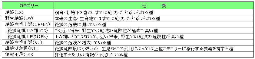 カテゴリー定義