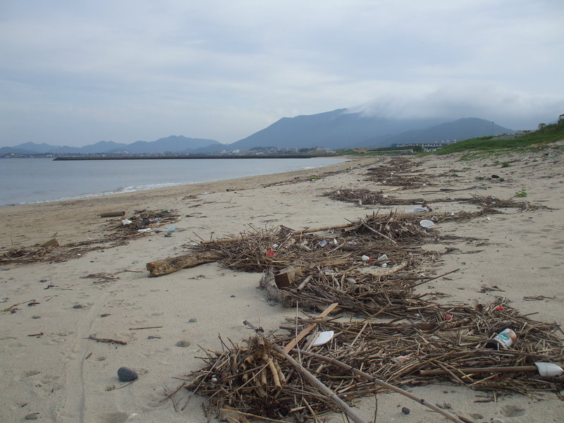 綾羅木海岸の画像2