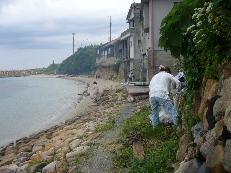 木与地先海岸の画像2