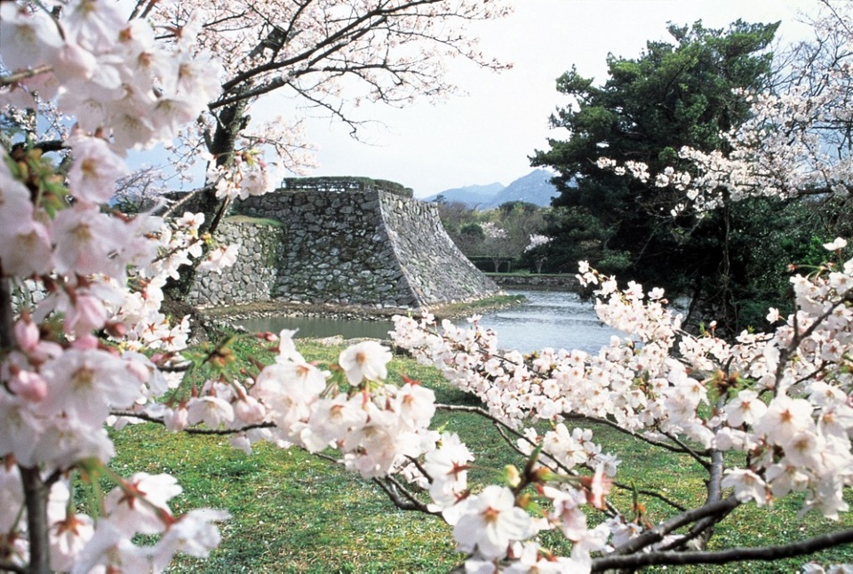 HAGI image4:HAGI