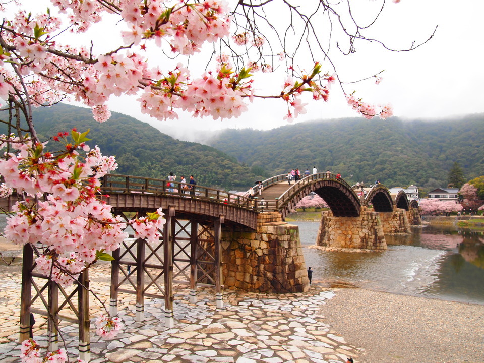 錦帯橋 錦帯橋