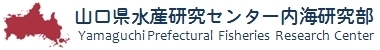 山口県水産研究センター内海研究部