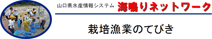 栽培漁業のてびき（改定版）タイトル画像