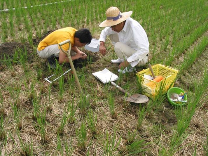 農地土壌炭素のモニタリング調査の画像