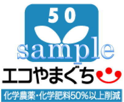 エコ50の認証票イメージ