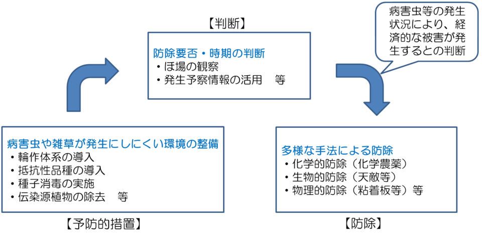 IPMの体系の画像