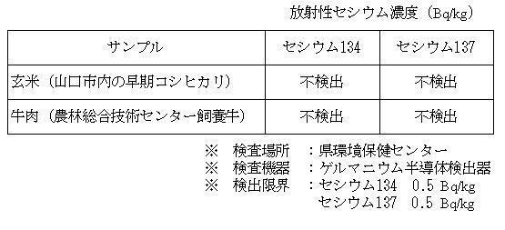 分析結果