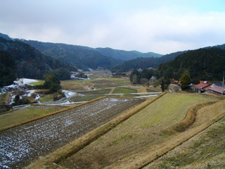 大石地区の棚田