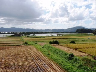 青海地区の棚田