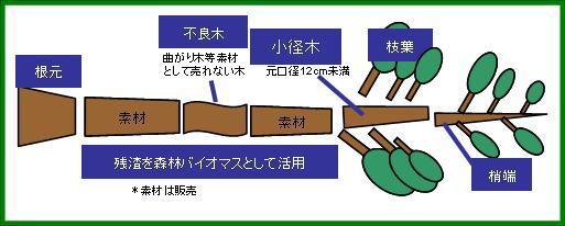 カスケード利用 カスケード利用