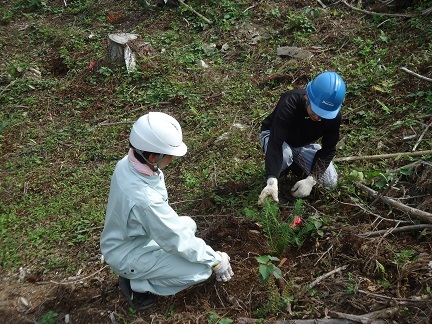 阿武萩森林組合職員の指導のもと植栽作業を体験の画像