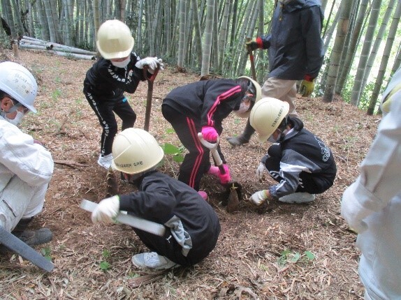 みんなで協力して掘り取りの画像