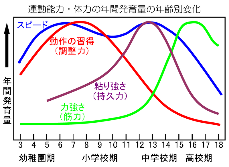 体力・運動能力の発達段階（年齢別発育量）