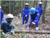 第1学年～第3学年 総合的な学習の時間「森林の教室（第2回）」の画像