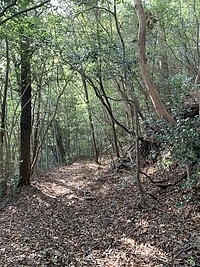 畑河内神社～吉敷大垰、片道1.2kmを徒歩で往復の画像