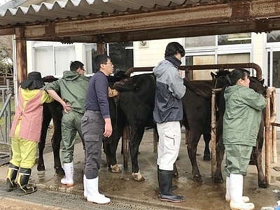 家畜人工授精師を対象とした繁殖技術講習会を開催！の画像