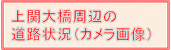 かみのせきおおはしかめら