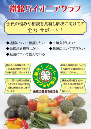 リーフレット(裏面)